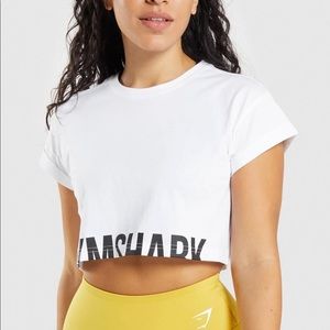 Gymshark Fraction Crop too